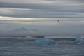 Iceland Jokulsarlon iceberg cloudy glacier