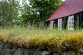 Iceland, 2008, June, very old stone wall with grass on top with traditional building in background