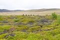 Iceland landscape near Hverfell volcano, Iceland landmark