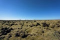 Iceland lava field covered with green moss Royalty Free Stock Photo