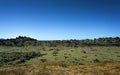 Iceland lava field covered with green moss Royalty Free Stock Photo