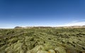 Iceland lava field covered with green moss Royalty Free Stock Photo