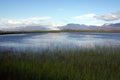 Iceland Marshes