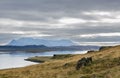 Iceland, Northwest Coast, Huna Fjord, Black Sand Beach View, overcast autumn day, a flock of birds flies over the fjord Royalty Free Stock Photo