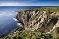 Iceland Ocean Landscape Royalty Free Stock Photo