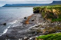 Iceland - Seagulls Nesting on a Cliff - Olafsvik