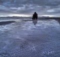 Iceland seen from above - Hvitserkur 7