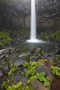 Iceland. Southeast area. Svartifoss waterfall and basaltic rocks