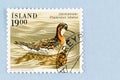 Iceland stamp of Red-Necked Phalarope