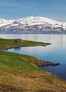 Iceland summer landscape. Fjord. Royalty Free Stock Photo