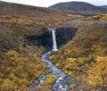 Iceland - Svartifoss Waterfall Royalty Free Stock Photo