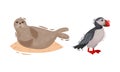Iceland Symbols with Atlantic Puffin and Sea Calf Vector Set Royalty Free Stock Photo