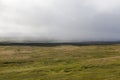 Iceland thick moss field in mist.