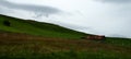 Green meadow with house and wildflowers was found in Vik, Iceland. Royalty Free Stock Photo