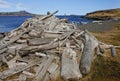 Icelandic Driftwood