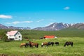 Icelandic farm with horses Royalty Free Stock Photo