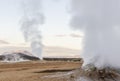 Icelandic geysir in summer, steam going out of ground