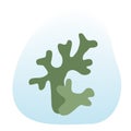 Icelandic green moss logo icon on gradient