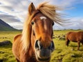 Ai Generated illustration Wildlife Concept of Icelandic horse