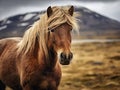 Ai Generated illustration Wildlife Concept of Icelandic horse