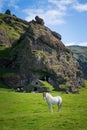 Icelandic Horse near an historic cave dwelling Royalty Free Stock Photo