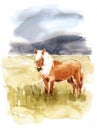 Icelandic Horse Watercolor Animal Illustration Nature Mountains Hand Painted