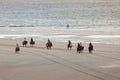 Icelandic horses on north seav beach of dutch island vlieland Royalty Free Stock Photo