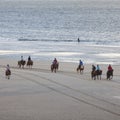 Icelandic horses on north seav beach of dutch island vlieland Royalty Free Stock Photo