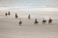 Icelandic horses on north seav beach of dutch island vlieland Royalty Free Stock Photo