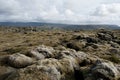 Icelandic Landscape