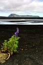 An Icelandic Landscape