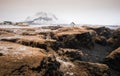 Icelandic landscape with lonely in winter. Arnarstapi village snaefellsness peninsula, Iceland