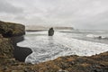 Icelandic landscape of seashore Royalty Free Stock Photo