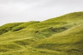 Green landscape across Iceland, endless hills, overcast weather