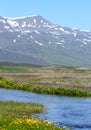 Icelandic mountain scene