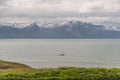 Icelandic natural landscape at summer time