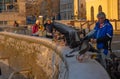 Icelandic retiree feeding ducks and swans bread from the snowy wall of reykjavik\'s Tjornin lake Royalty Free Stock Photo