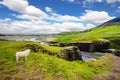 The Icelandic Tundra in July