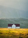 Icelandic wooden house glowing with sunlight on meadow and bird flying around in sunset on summer at Arnarstapi fishing village,