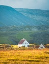 Icelandic wooden house glowing with sunlight on meadow and bird flying around in sunset on summer at Arnarstapi fishing village,