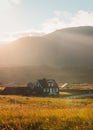 Icelandic wooden house glowing with sunlight on meadow and bird flying around in sunset on summer at Arnarstapi fishing village,