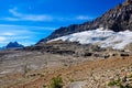 Iceline trail in Yoho National Park along with glaciers, British