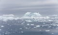 Ices and icebergs of polar regions of Earth.