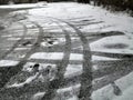 Icey tracks on a road Royalty Free Stock Photo