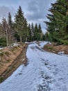 Icey way or road in the woods