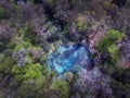 Ichetucknee Springs - Aerial