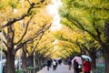 Icho Namiki Street in Tokyo, Japan