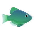 Ichthyology icon, cartoon style