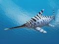 Ichthyosaur Eurhinosaurus Royalty Free Stock Photo