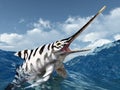 Ichthyosaur Eurhinosaurus Royalty Free Stock Photo